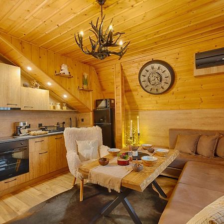 Rich House Velingrad Villa Kültér fotó